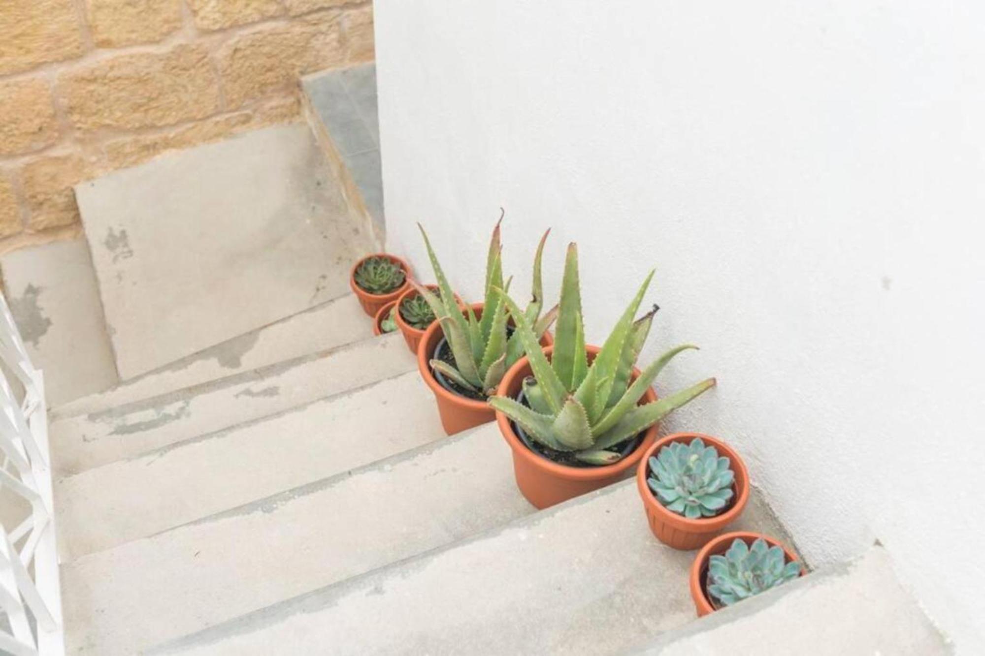 Cospicua Authentic Gf Apartment With Terrace At The 3 Cities Marina מראה חיצוני תמונה